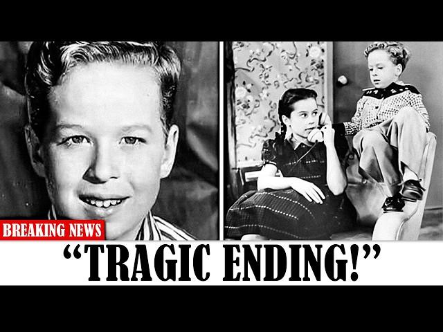 20 Most Tragic Stories of 1960s Forgotten HOLLYWOOD Stars