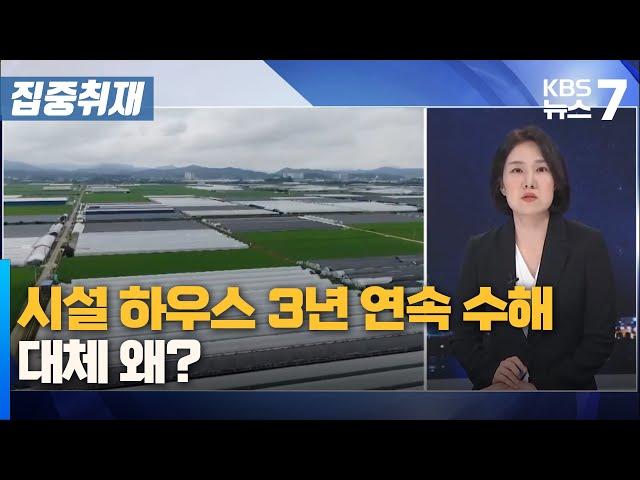 시설 하우스 3년 연속 수해…대체 왜? / KBS 뉴스7 대전 세종 충남 [집중취재] - 07월 22일 (월)