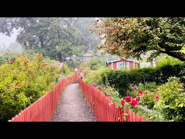 Stockholm Walks: Tanto park and gardens. Relaxing walk on a foggy September morning.