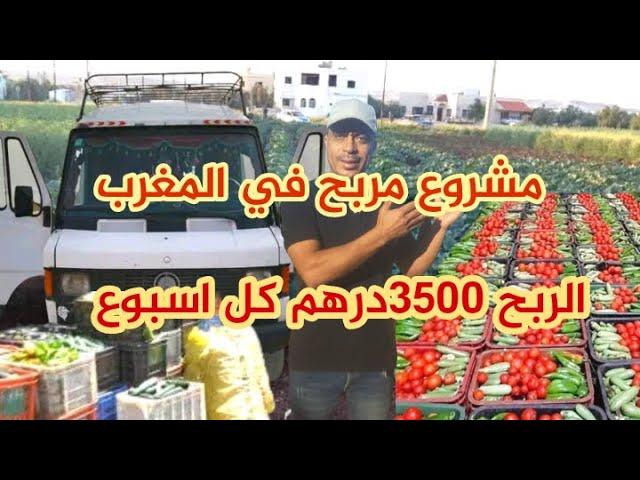 مشروع مربح في المغرب تجارة الخضار والفواكه نقلها من المزاريع الى تجار سوق الجملة 3500درهم كل اسبوع