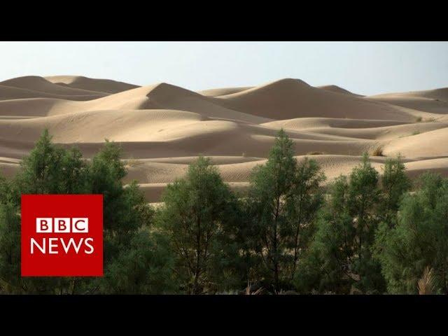 Why is Africa building a Great Green Wall? BBC News