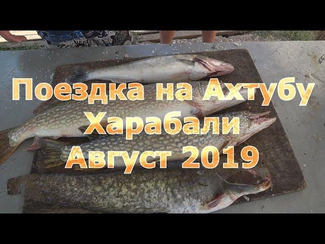 Поездка на Ахтубу.Харабали.Август 2019