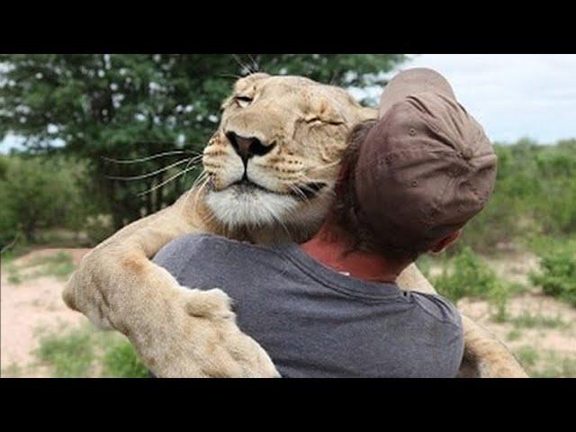 Amazing stories about the friendship of people and animals