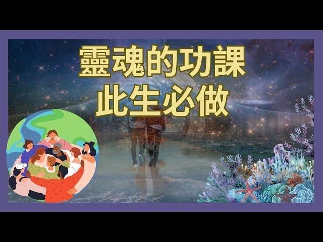 靈魂的5大課題，此生必做的功課｜萬物皆意識的量子場投影