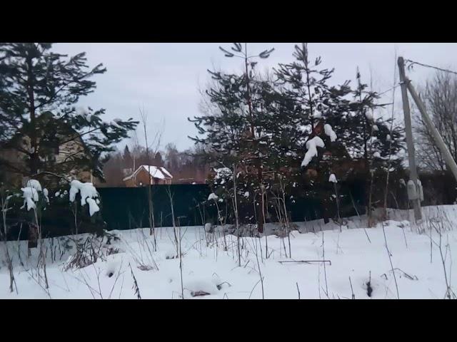 Андрей Чаплин деревня Бегичево