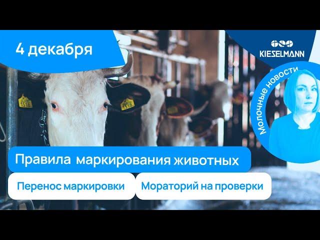 Новости за 5 минут: перенос маркировки, правила маркирования животных и мораторий на проверки