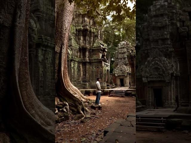 #travel #cambodia