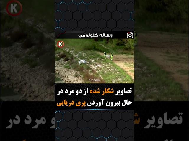 پری دریایی . واقعی