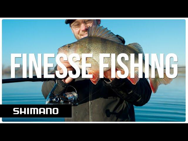 How to fish finesse for BIG perch using Carolina and Ned rig | Shimano Predator