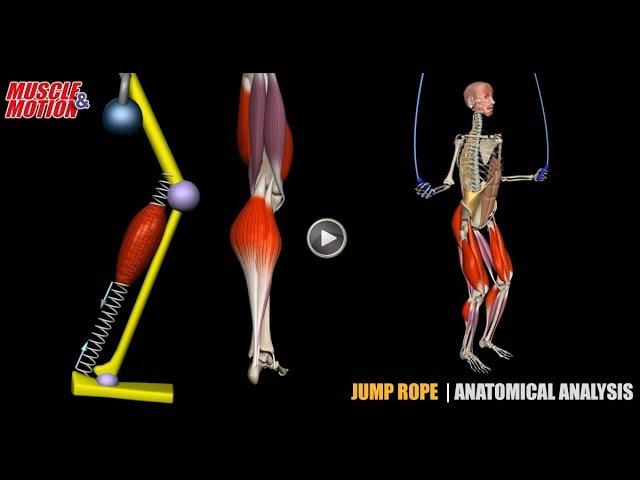 Jump Rope | Anatomical Analysis + Active Muscles