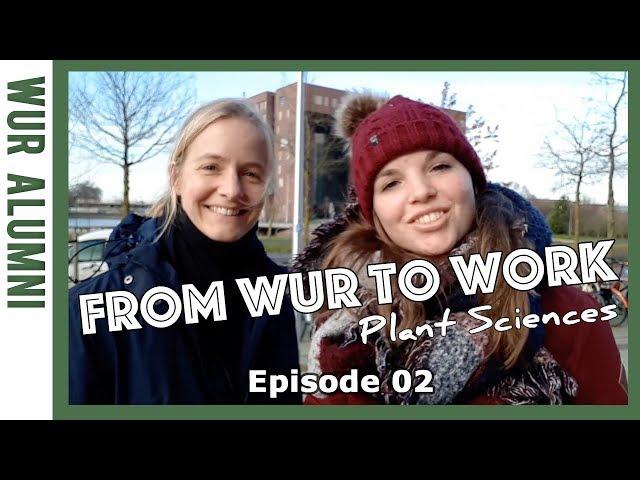 From WUR to Work - A job after Plant Sciences | WURtube