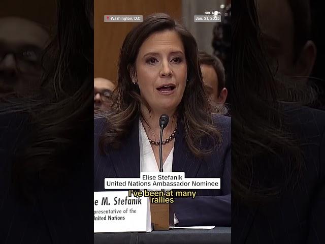 Elise Stefanik defends Elon Musk's gesture that some interpreted as a Nazi salute