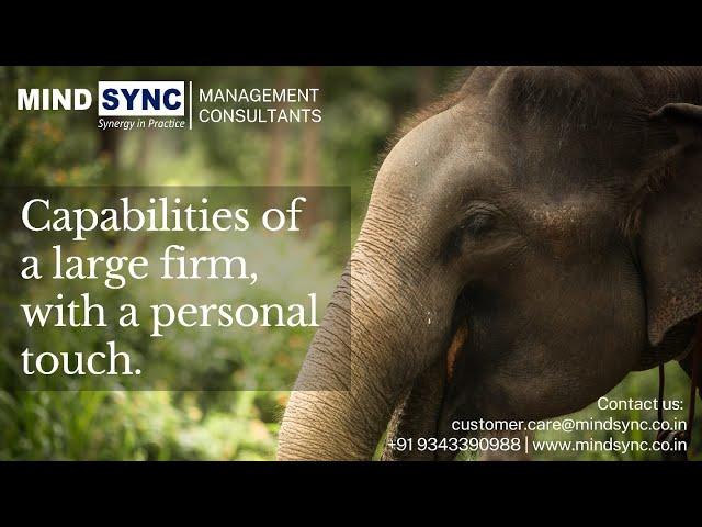 We are Mind Sync- Legal and Management Consultants