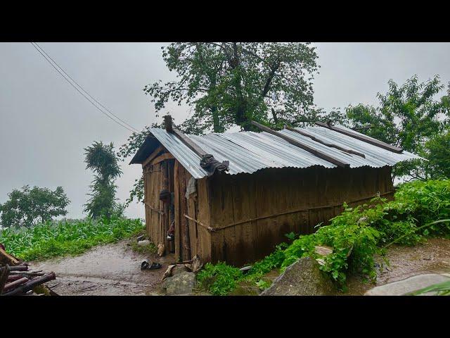 Naturally Peaceful And Beautiful Himalayan Mountain Village Life in Rainy Season |Rural Life Nepal