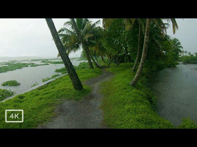 4 Hours of Walking in rain through the village paths | Relaxing white noise of rain for sleep