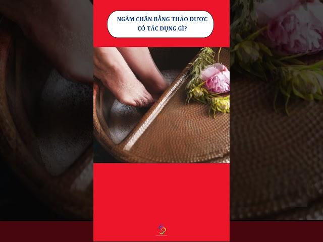 ️ TÁC DỤNG CỦA NGÂM CHÂN THẢO DƯỢC