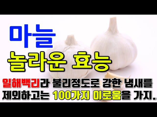 마늘의 놀라운 효능 7가지 & 부작용 / ‘일해백리'라 불리정도로 강한 냄새를 제외하고는 100가지 이로움을 가지고..