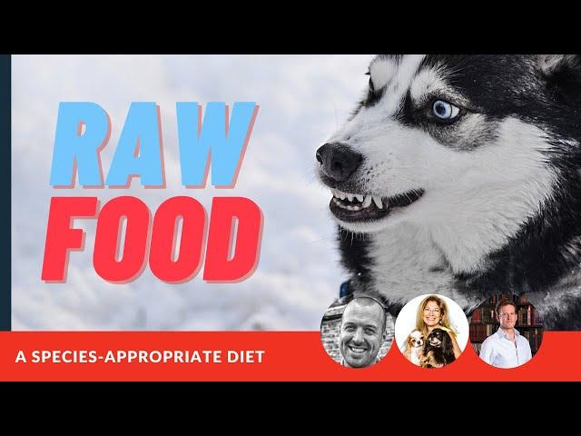 Raw Food For Dogs: A Species-Appropriate Diet