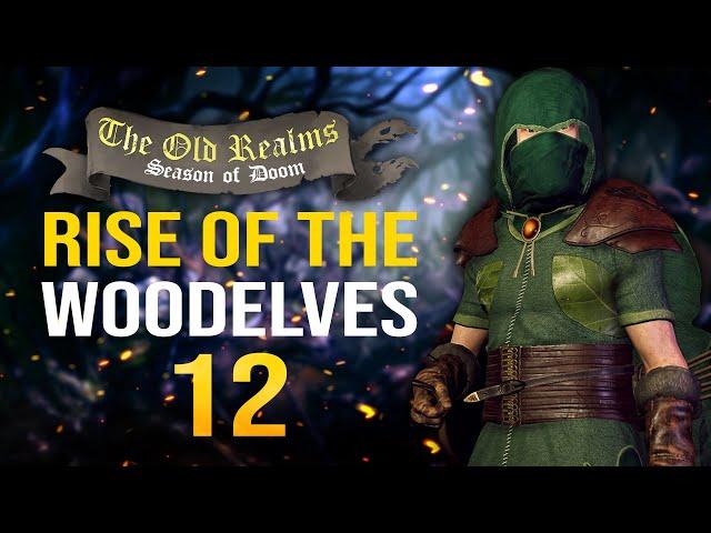 THE DESVASTATING MAGIC ARROWS! The Old Realms Warhammer Mod - Mount & Blade II: Bannerlord #12