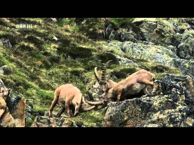 Österreich - Land der grünen Grenzen