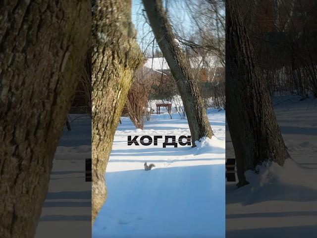 #монтажвидео #монтаж #монтажер