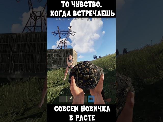 Когда встречаешь новичка в Rust \ Раст #shorts #rust