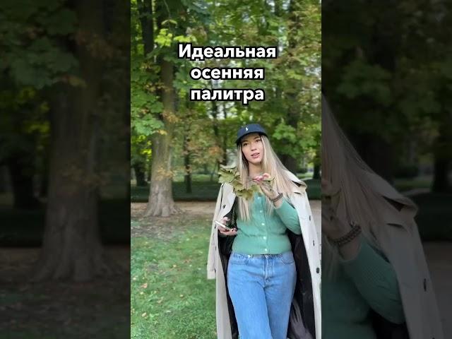 Как дизайнеры собирают референсы осенью #осень #дизайн #логотип #дизайнер