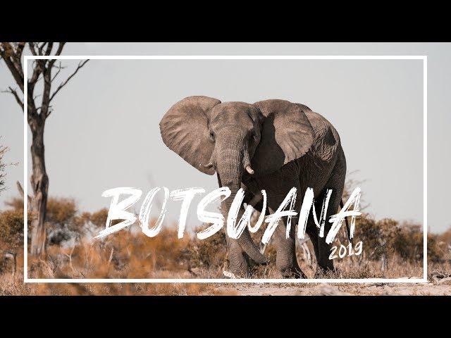 Camping in Africa || Botswana || 2019 || Highlights || Elephant Sands