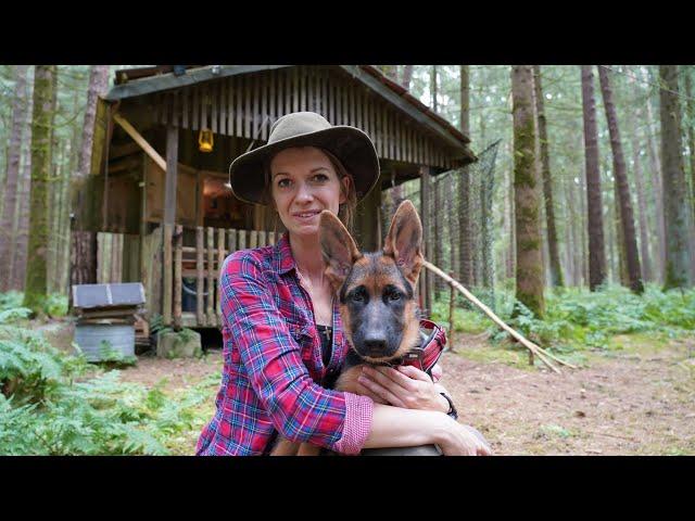 Waldhütte#17 Erste Übernachtung mit Aika im Fuchsbau 