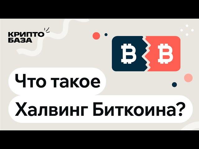 Что такое халвинг биткоина? Объясняем за 7минут! (КриптоБаза)