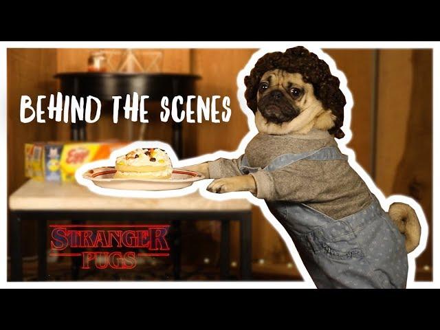Behind The Scenes of Stranger Pugs 2