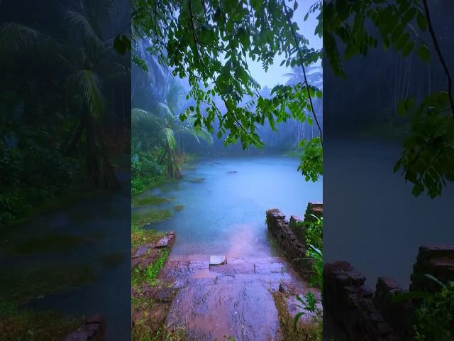 Rain in Temple Pond  #calm #malayalam #villagelife #keralamansoon