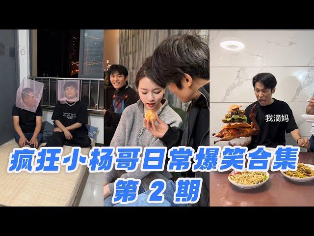【瘋狂小楊哥日常爆笑合集】  第2期   #疯狂小杨哥 #日常 #搞笑 #小杨哥头号粉丝 #瘋狂小楊哥