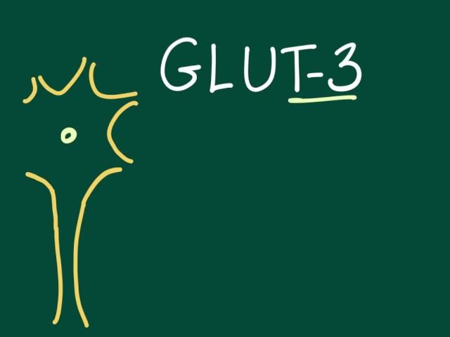 Glucose transporter 3 (GLUT-3) mnemonic