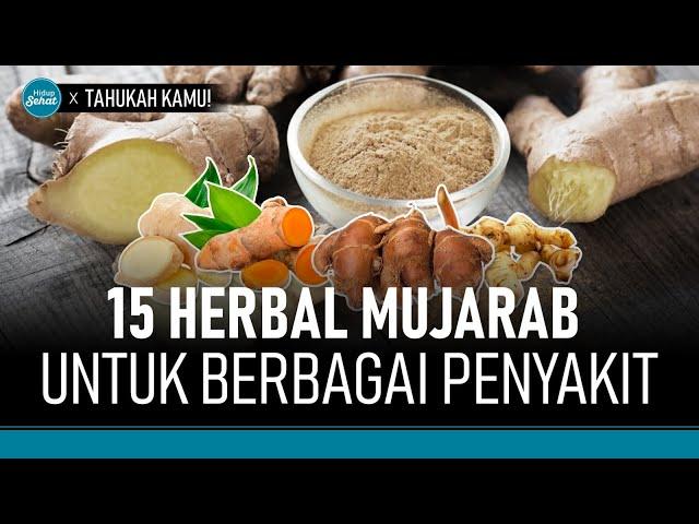 Daftar Herbal yang Paling Berkhasiat Bagi Kesehatan | Hidup Sehat tvOne