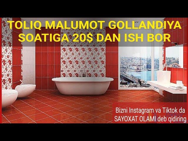 Gollandiyada 20$ lik ish haqida toʻliq malumot