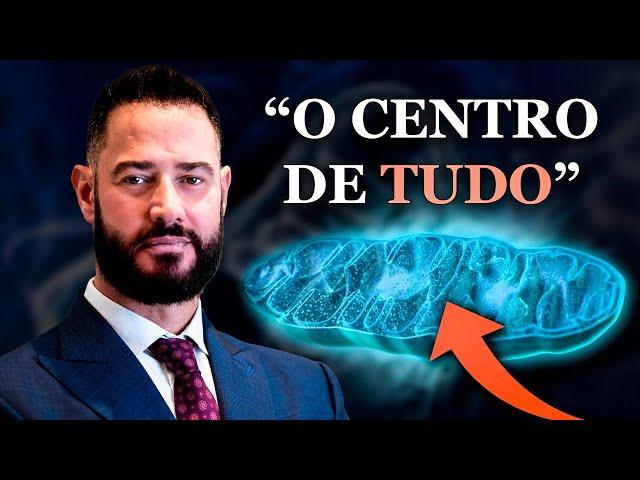 Saúde MITOCONDRIAL: A BASE da LONGEVIDADE e qualidade de VIDA!