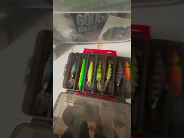 What’s In My Tackle Box?#tacklebox #fishing