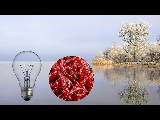 Зимняя рыбалка. Кормушка привлекающая рыбу.