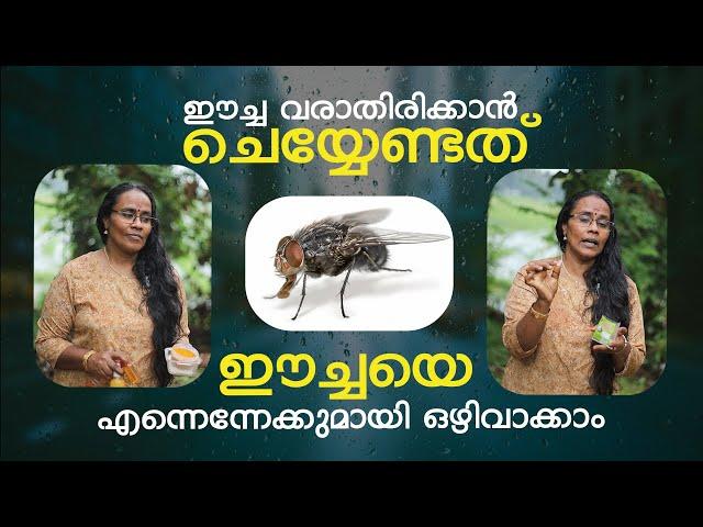 ഈച്ചയെ എന്നെന്നേക്കുമായി ഒഴിവാക്കാം  | To Prevent House Fly | PRS Kitchen Health Tip