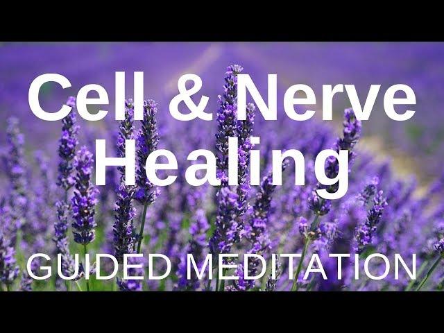 Guided HEAL Meditation - Cell and Nerve Healing (Self Healing Meditation)