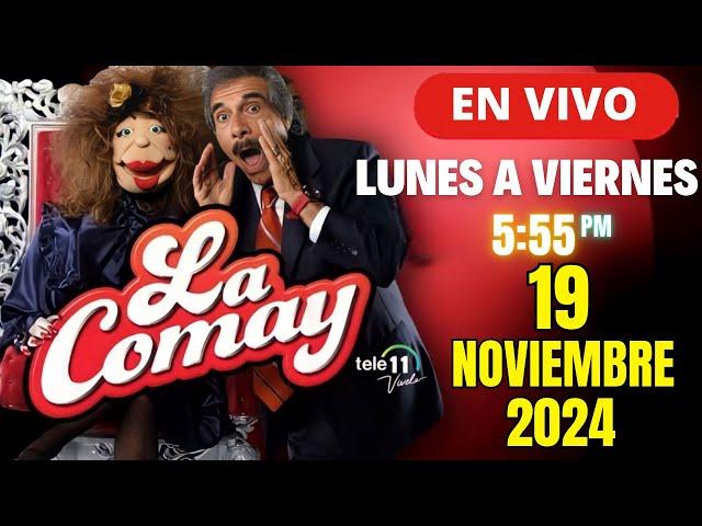 La Comay Hoy En Vivo 19 De Noviembre 2024 Puerto Rico