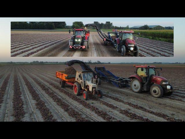 Loading onions | Mts. Bos | 4x Case | Uien laden en inschuren | 2024 | SU-Tech