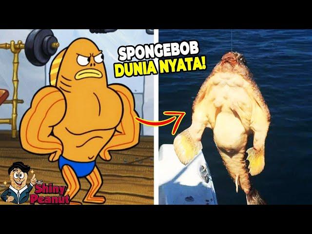 Aslinya Beneran Kekar?! Inilah Karakter Film SpongeBob di Dunia Nyata