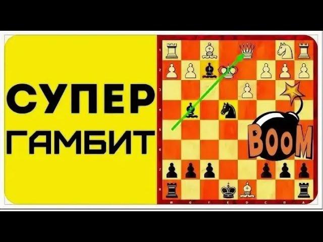 ДЕБЮТ ЗА ЧЕРНЫХ. ГАМБИТ СТАФФОРДА! Школа шахмат d4-d5.