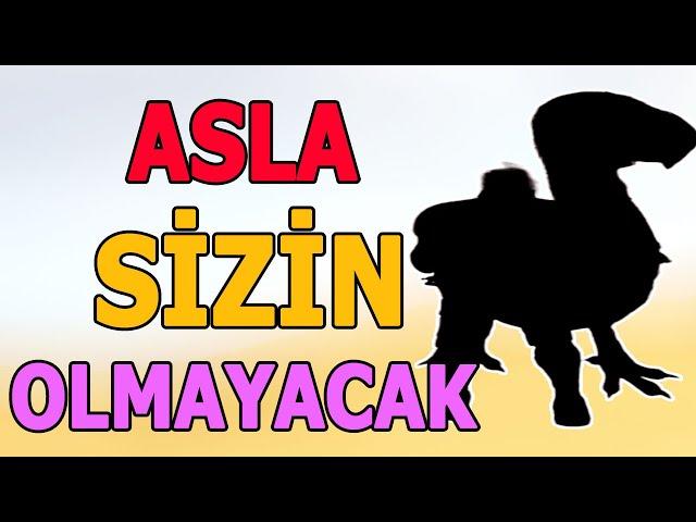 Ark Oyuncularının Yalnızca %0,1'inin Sahip Olduğu Dinozorlar!