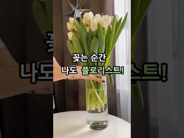  누구나 플로리스트 ~ 안 깨지는 감성 꽃병 #인테리어 #꽃병