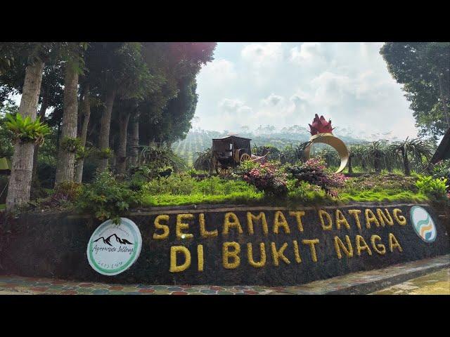 Wisata Alam - Destinasi Wisata Bukit Buah Naga Agro Jollong 2 Desa Sitiuluhur, Kecamatan Gembong