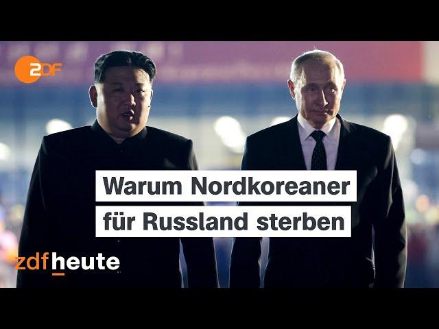 So profitiert Nordkoreas Regime vom Ukraine-Krieg I auslandsjournal