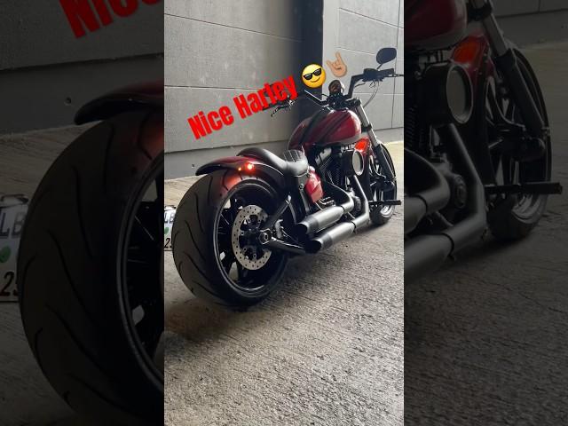 Nice#shortvideo #short #shorts #youtubeshorts #harleydavidson #shortsfeed #viralvideo #fyp #fy